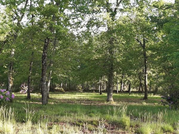 MOUSTEY MAISON DE 103m² sur terrain de 7000m²