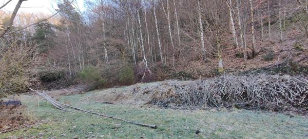 PLANCHER-BAS 70290 : Maison 124m² - 6 pièces sur un terrain de 63  ares 64