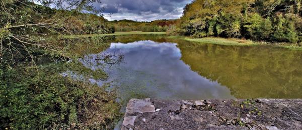 Le vieux moulin de Puntet à Saint-Martin-de-Seignanx