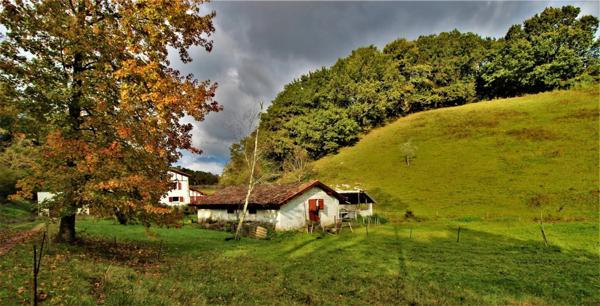 Le vieux moulin de Puntet à Saint-Martin-de-Seignanx