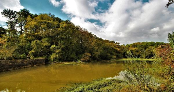 Le vieux moulin de Puntet à Saint-Martin-de-Seignanx