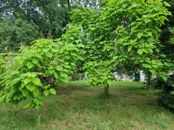 Terrain à vendre |  Le Teich |  1327 m²