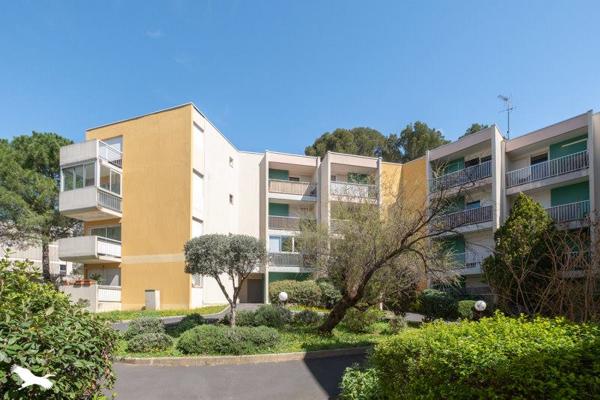 Appartement à vendre |  Montpellier |  1 pièce | 31 m²