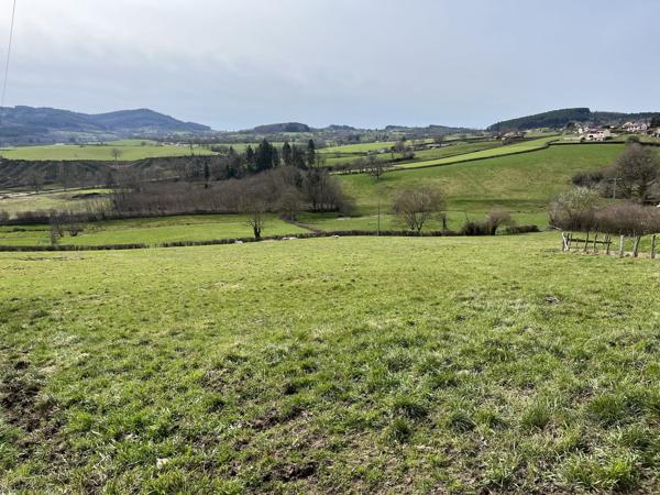 Terrain constructible pour lotissement