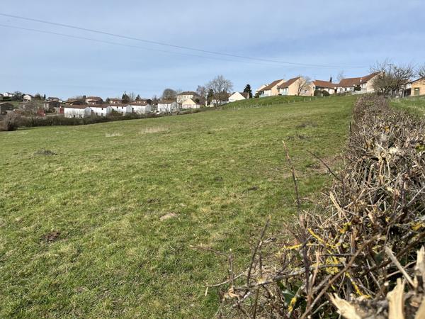Terrain constructible pour lotissement