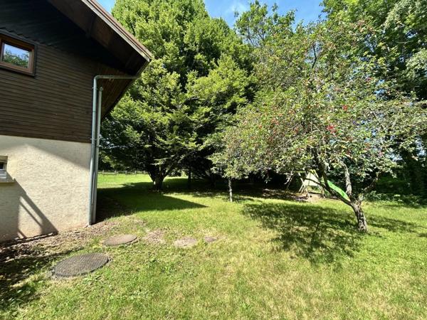 Location Chalet 6 pièces 107 m2 à Taintrux