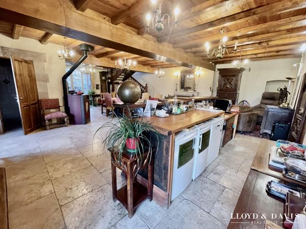 CHÂTEAU MÉDIÉVAL – VUE DOMINANTE – ACTIVITÉ GÎTES et RÉCEPTION