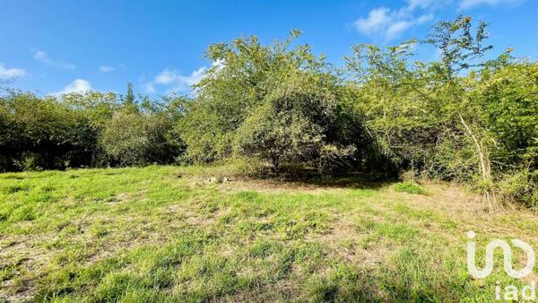 Terrain à vendre 5 183 m² Le Gosier