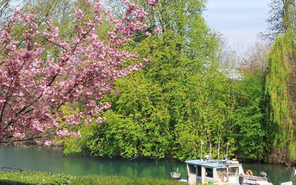 Appartement à vendre    1 pièce • 28,09 m2 Bry-sur-Marne