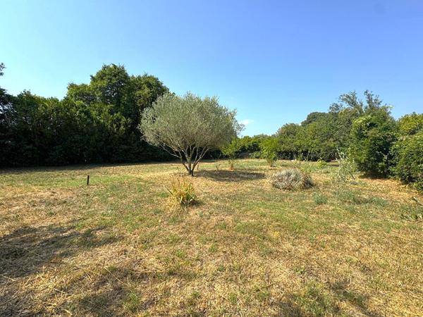 Terrain 905 m2