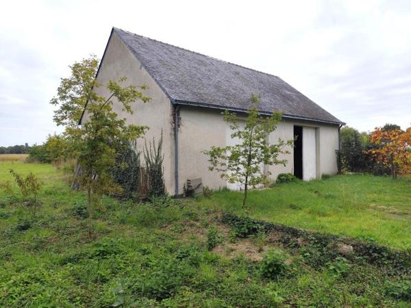 Hangar sur grand terrain