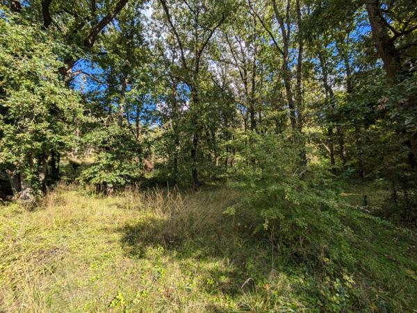 Terrain - 1500 m² Exclusivité efficity