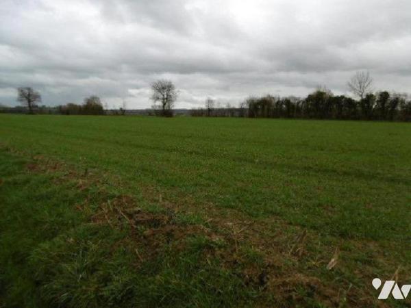 Vente Autre terrain à Saint-Pierre-Tarentaine