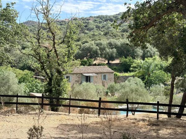 Vente                                                      Propriété
                        
                     5 pièces                      155 m2                     à Aregno