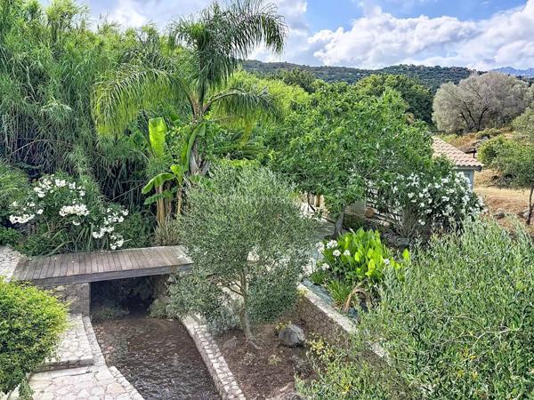 Vente                                                      Propriété
                        
                     5 pièces                      155 m2                     à Aregno