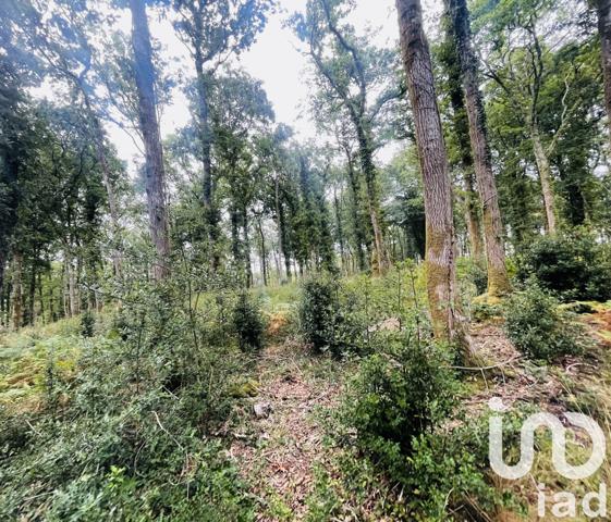 Terrain à vendre 288 850 m² Vigneux-de-Bretagne