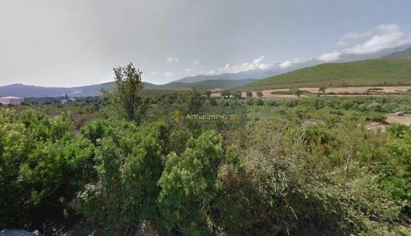 Vente                                                      Terrain
                        
                                         2998 m2                     à Pietracorbara