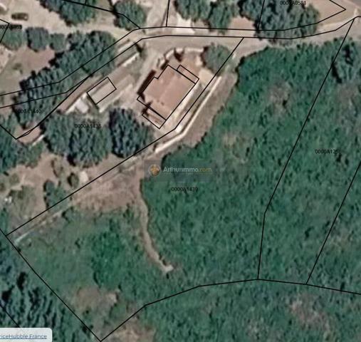 Vente                                                      Terrain
                        
                                         2998 m2                     à Pietracorbara