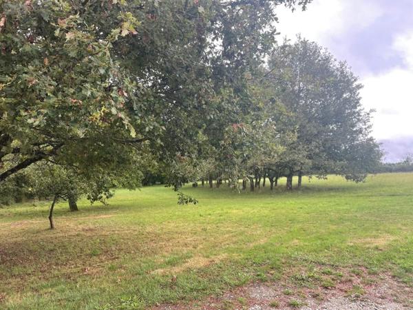 Maison à vendre à Mayenne en Mayenne (53100), ref : 046/818