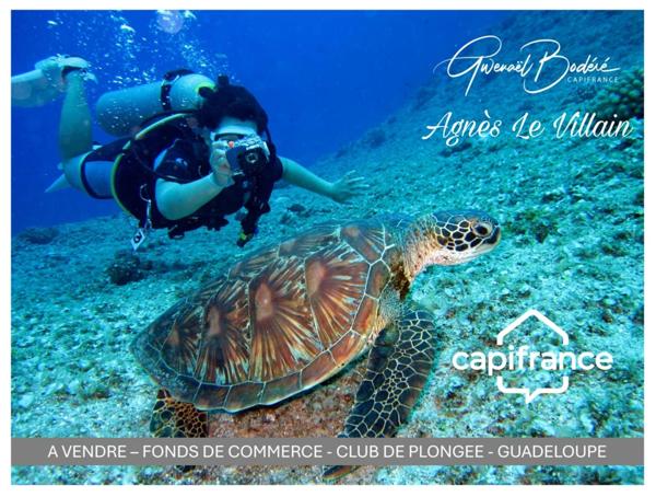 À Vendre Fonds de Commerce Centre de Plongée Emplacement d’Exception à Bouillante (Guadeloupe)