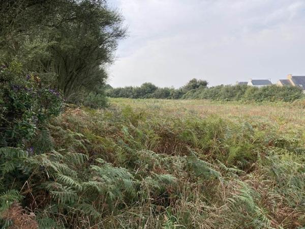 Terrain à vendre |  Plouhinec |  2012 m²