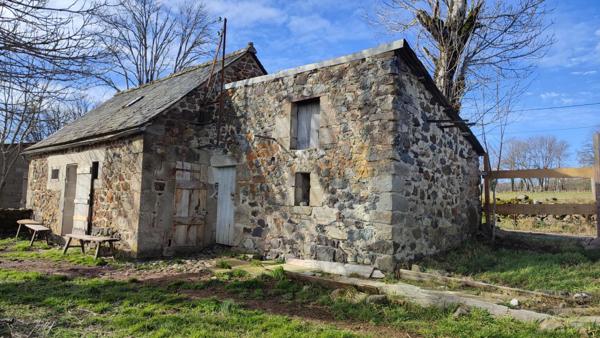 Maison en pierre avec source, dépendances et vue panoramique , Menet (15400)