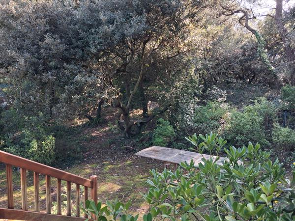 Maison atypique à rénover à 100 m de l'océan, au calme entre forêt et dunes