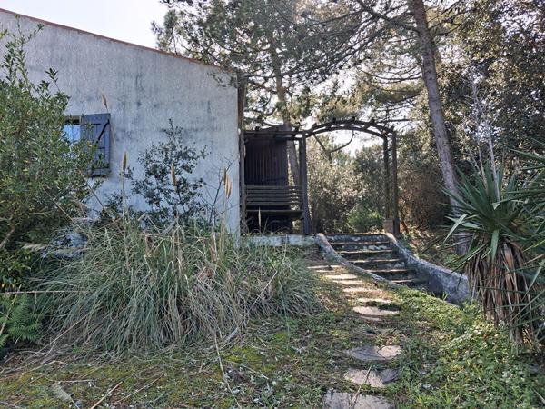 Maison atypique à rénover à 100 m de l'océan, au calme entre forêt et dunes