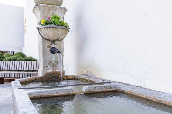 Maison à vendre 7 pièces DIVONNE LES BAINS (01)