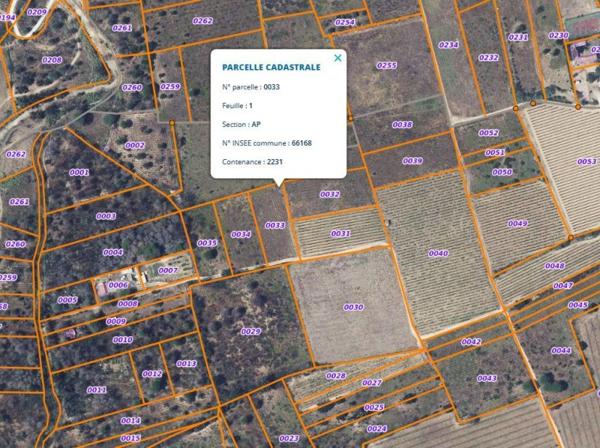 Vente / Terrain agricole