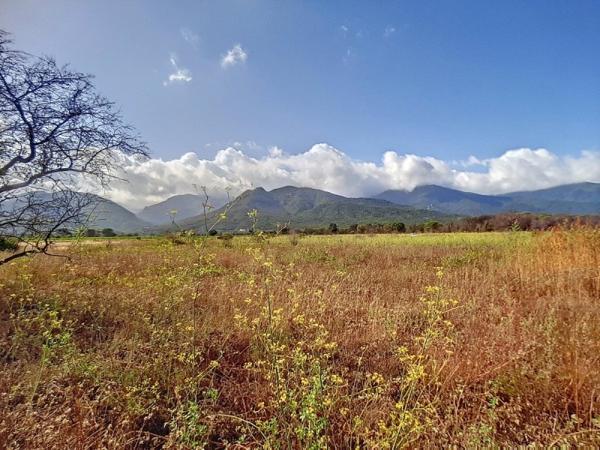 Vente / Terrain agricole