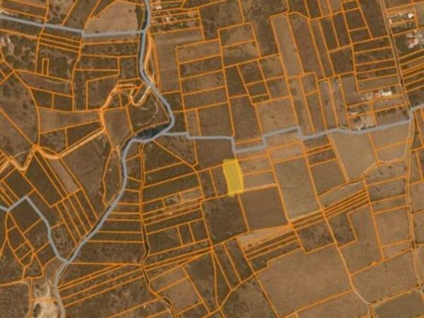 Vente / Terrain agricole