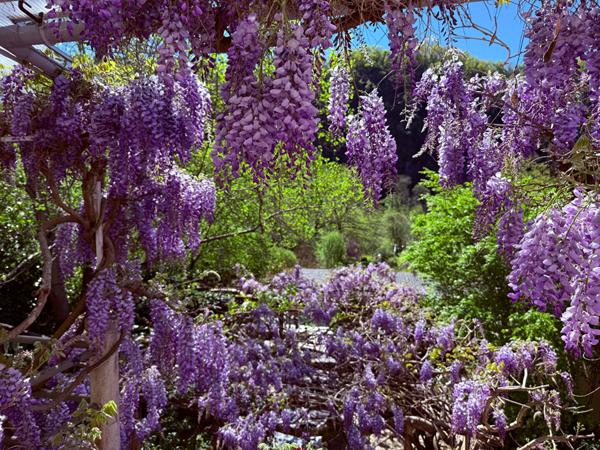 Une propriété unique entre nature, créativité et douceur de vivre Beaulieu sur dordogne