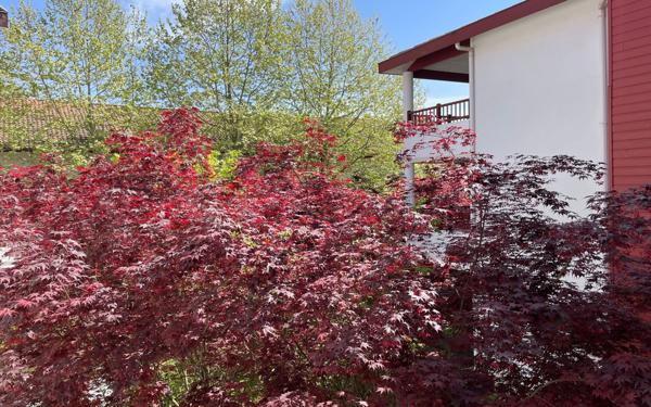 Appartement à vendre    3 pièces • 52 m2 Soorts-Hossegor