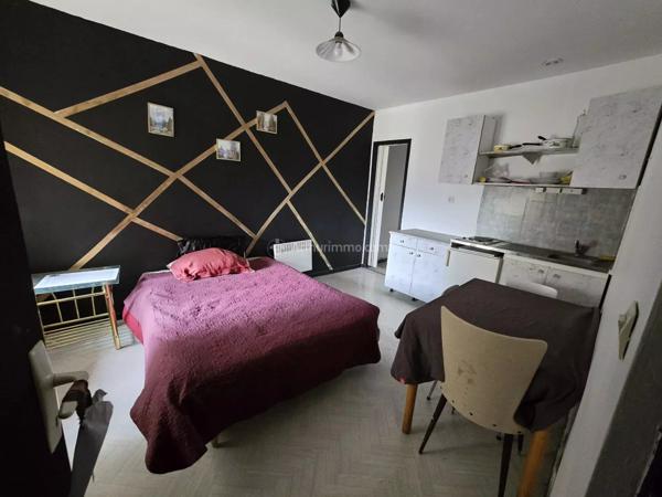 Vente Maison de ville 11 pièces 220 m2 à Bourbonne-les-Bains