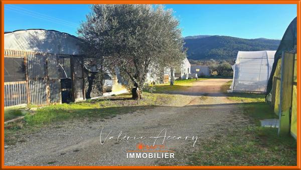 PIGNANS : Bien agricole composé d'une maison d'habitation de 86 m², hangar, serre...sur un terrain d'un hectare