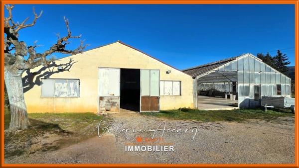 PIGNANS : Bien agricole composé d'une maison d'habitation de 86 m², hangar, serre...sur un terrain d'un hectare