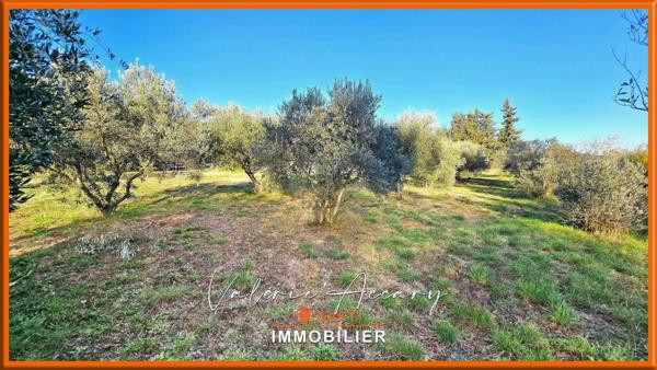 PIGNANS : Bien agricole composé d'une maison d'habitation de 86 m², hangar, serre...sur un terrain d'un hectare