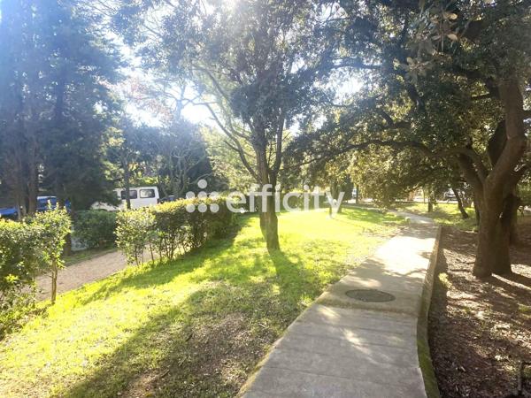 Appartement 3 pièces - 51 m² Exclusivité efficity