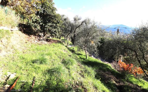 Maison à vendre    2 pièces • 60 m2 Berre-les-Alpes