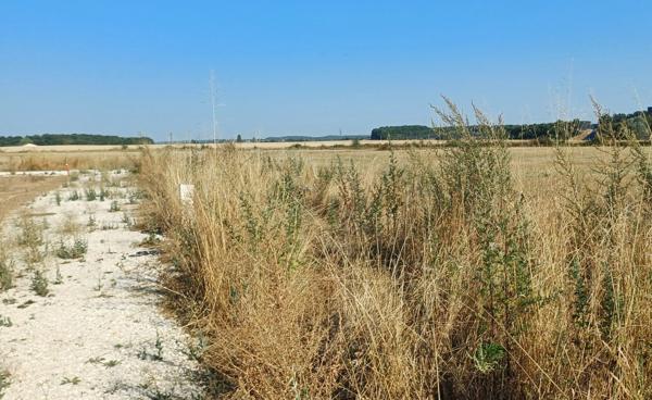 Terrain à vendre   (16) Viabilisé de 853 m2