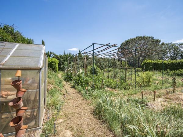 MAS D'EXCEPTION, PISCINE, JARDIN 1.1HA, THUIR