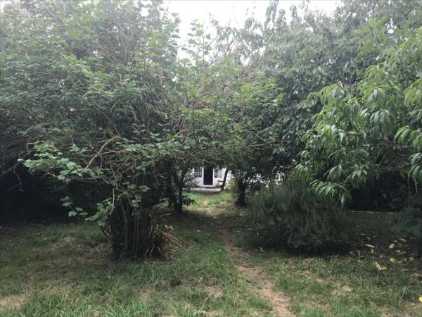 Maison à vendre à Plouhinec dans le Morbihan (56680), ref : 1835