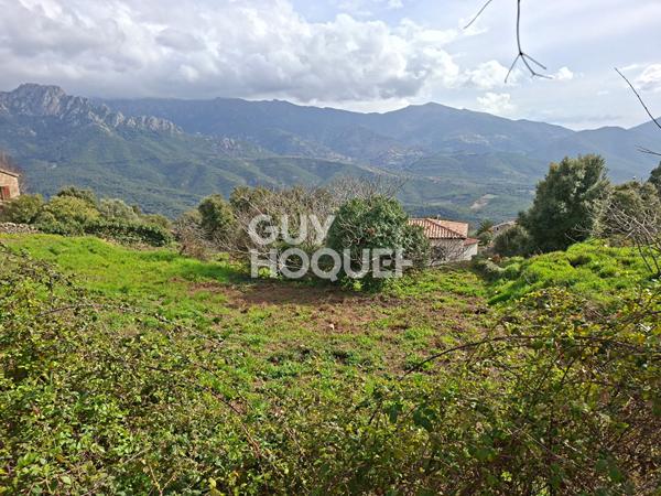 Terrain Tavaco 915 m2
