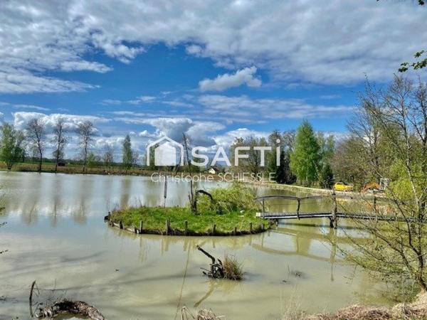 Etang avec grand cabanon sur 3 hectares