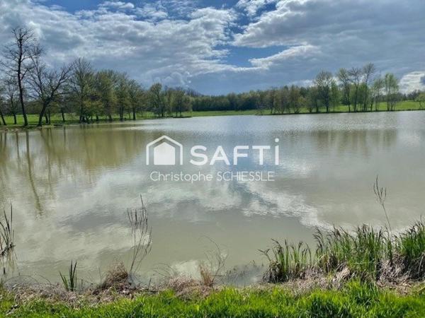 Etang avec grand cabanon sur 3 hectares