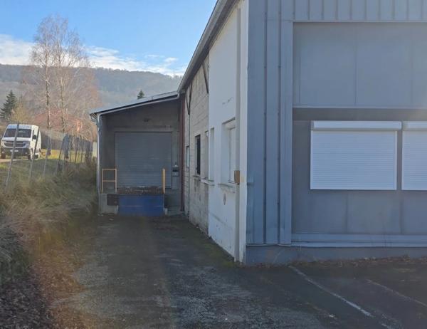 LONS ZI. Local activité 700 m2 + 30 parkings sur terrain clôturé 1 800 m2