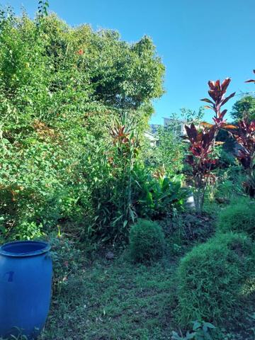 TERRAIN A BATIR, LE TAMPON