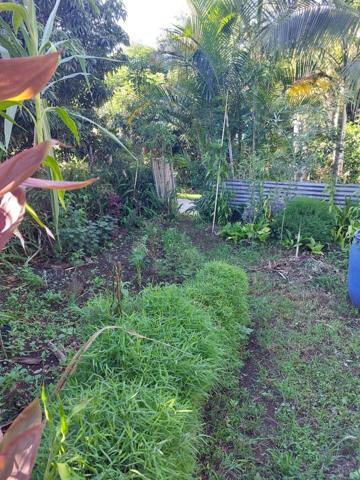 TERRAIN A BATIR, LE TAMPON