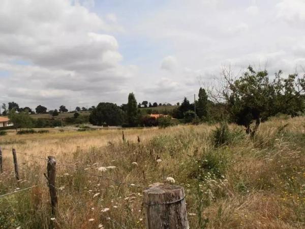 d'une superficie d'environ 1300 m2, non viabilisé mais avec eau  et électricité à proximité, avec ...